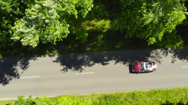 Happy Bride Groom Newlywed Wedding Couple Driving Convertible Retro Car — Stock Video