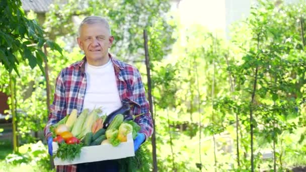 Bir Kutu Sebze Taşıyan Yaşlı Emekli Bir Adam Çiftçi Evde — Stok video