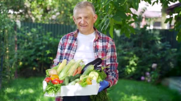 Pensiunan Senior Memegang Sekotak Sayuran Petani Berdiri Kebun Dengan Sayuran — Stok Video