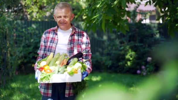 Starší Důchodce Držící Ruce Krabici Zeleniny Farmář Stojí Zahradě Domácí — Stock video