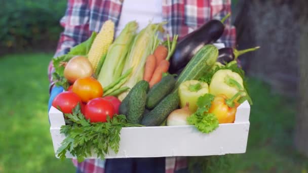 Close Mature Male Farmer Holding Basket Fresh Harvested Moment Vegetables — Stock Video
