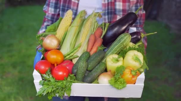 野菜は終わりだ 農家の野菜の箱を保持する 家は成長した コーン トマト 玉ねぎ ズッキーニ ニンジン ピーマン キュウリ — ストック動画