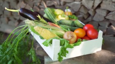 Kapatın. Taze koparılmış sebzelerle dolu beyaz bir kutu. Çiftlikte doğal organik ürünlerle dolu bir sepet. Organik sebzeler. Mısır, domates, salatalık, soğan, kabak, patlıcan, havuç..
