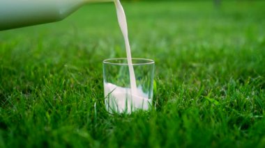 Taze süt, çimlerin ortasındaki çimlerin üzerinde duran bir bardağa dökülür. Ağır çekim. Yeşil doğanın arka planına dökülen doğal ürün. Organik ekolojik ürünler konsepti. Kırsal