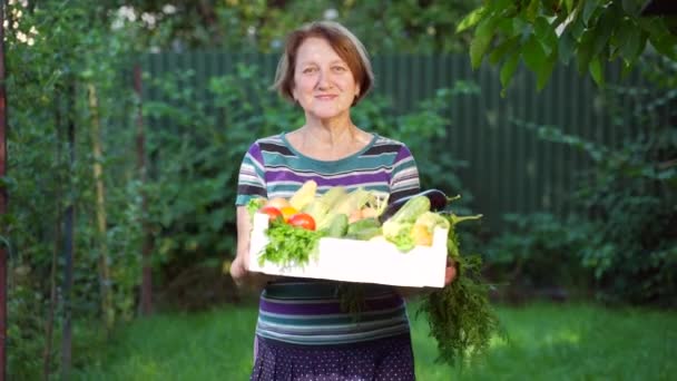 Ηλικιωμένη Συνταξιούχος Που Στέκεται Στον Κήπο Ένα Καλάθι Λαχανικά Στα — Αρχείο Βίντεο