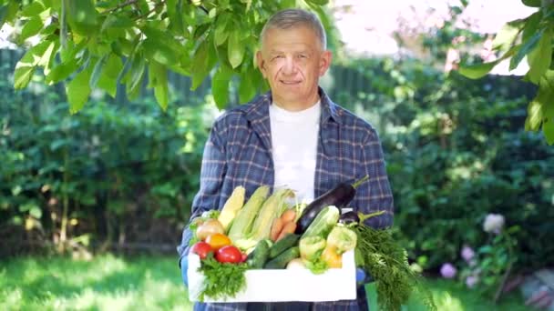 Oudere Gepensioneerde Man Met Een Doos Groenten Boer Staat Tuin — Stockvideo