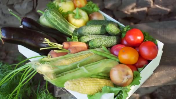 Κλείσε Λευκό Κουτί Φρέσκα Μαδημένα Λαχανικά Καλάθι Φυσικά Βιολογικά Προϊόντα — Αρχείο Βίντεο