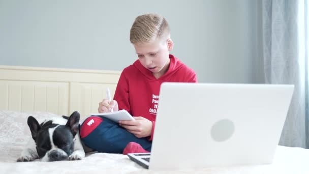 Lindo Guapo Adolescente Sentado Cama Habitación Aprender Lecciones Con Bulldog — Vídeo de stock