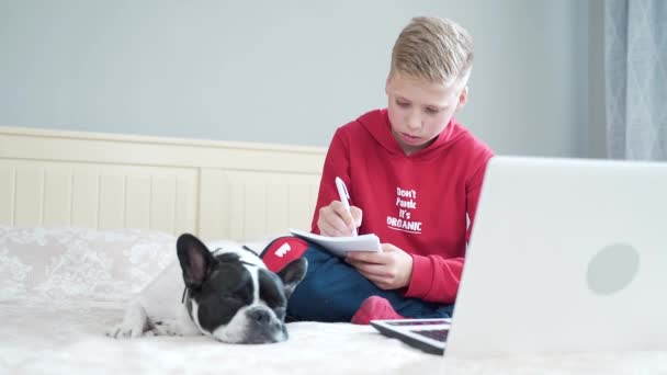 Lindo Guapo Adolescente Sentado Cama Habitación Aprender Lecciones Con Bulldog — Vídeos de Stock