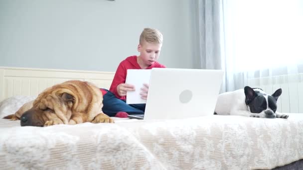 Lindo Guapo Adolescente Sentado Cama Habitación Aprender Lecciones Con Bulldog — Vídeo de stock