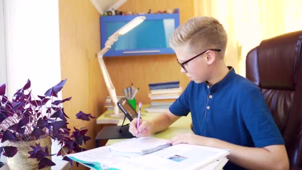 Netter Blonder Teenager Kind Kleiner Junge Schulbub Mit Brille Der — Stockvideo