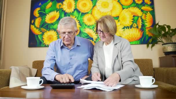 Old Couple Man Woman Counting Checks Bills Consider Bank Statement — Stock Video