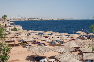 Mısır'daki tatil. Yaz tatili Sharm El Sheikh içinde. Mısır Kızıldeniz