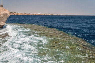 Mısır'daki tatil. Yaz tatili Sharm El Sheikh içinde. Mısır Kızıldeniz.