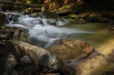 Dağ nehri yeşil bir peri ormanından akar.