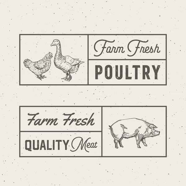 Granja de aves de corral frescas y carne Abstractos signos vectoriales, símbolos o plantillas de logotipo. Grabado a mano de pollo, ganso y silueta de cerdo con marcos y tipografía retro. Conjunto de emblemas vintage . — Vector de stock