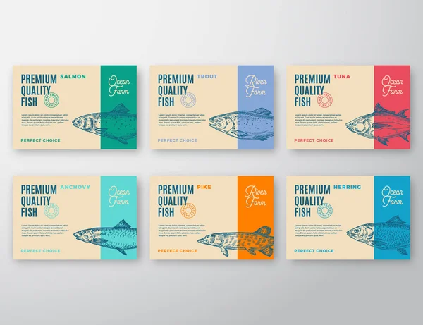 Premium Kalite balık kümesi Etiketler. Soyut vektör ambalaj tasarımı veya etiket. Modern tipografi ve elle çizilmiş balık siluetleri arka plan düzenleri ile yumuşak gölgeler. — Stok Vektör