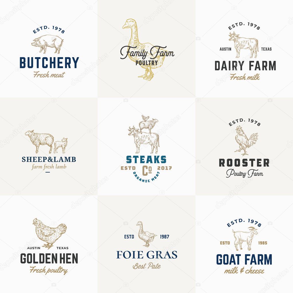 Premium Quality Retro Cattle and Poultry Vector Signs or Logo Templates Set. Hand Drawn Vintage Domestic Animals and Birds Sketches with Classy Typography, Pig, Cow, Chicken, etc. Isolated.