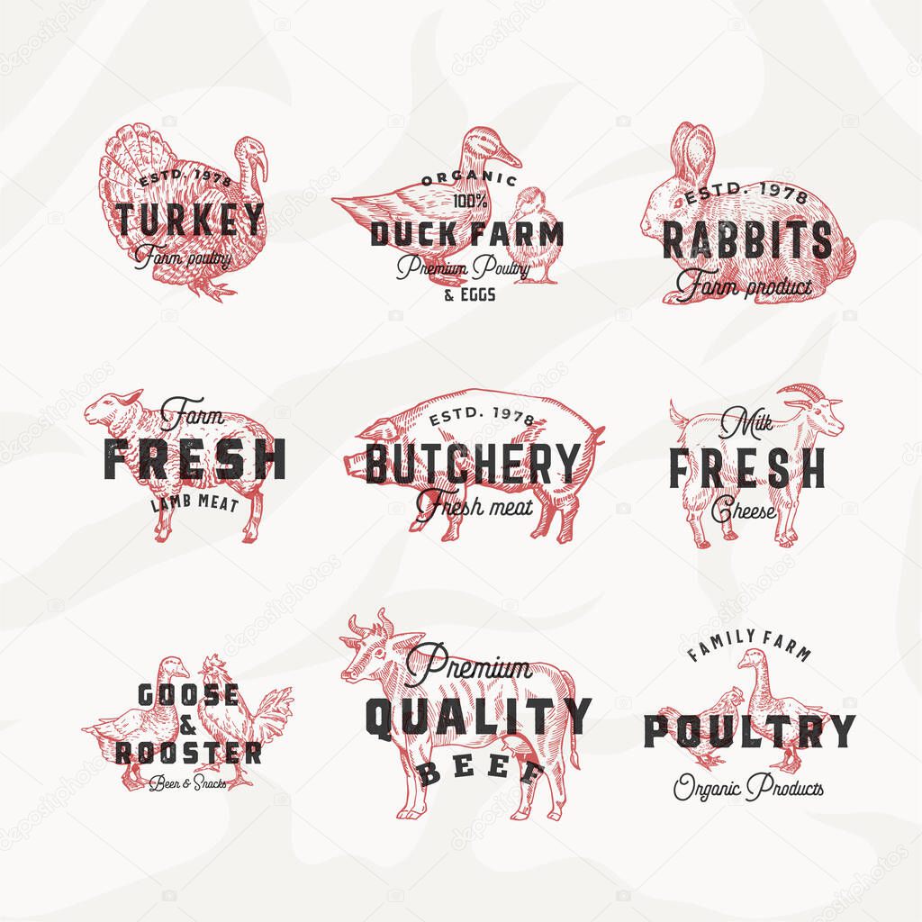 Retro Cattle and Poultry Vector Logo Templates Set. Hand Drawn Vintage Domestic Animals and Birds Sketches with Vintage Typography. Pig, Cow, Chicken, Rabbit, Turkey, etc. Meat Texture Background.