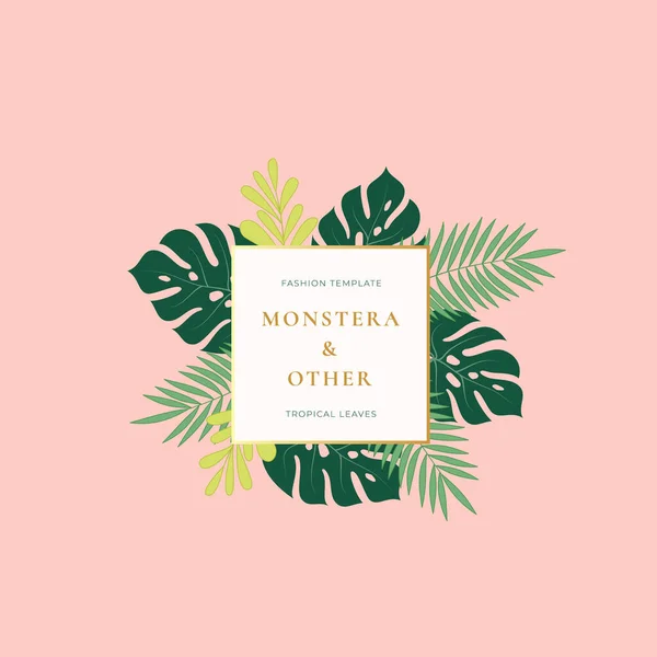 Monstera Palm Tropical Leaves Segno di moda, emblema, carta o logo modello. Fogliame verde astratto con striscione quadrato, bordo dorato del gradiente e tipografia di classe. Colori pastello rosa. — Vettoriale Stock