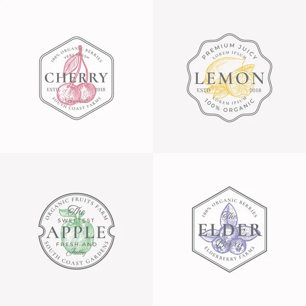 Distintivi di frutta e bacche o modelli di logo. Set Hand Drawn Lemon, Cherry, Apple e Elderberry Sketch con Foglia Retro Tipografia e Frontiere. Emblemi premium vintage. — Vettoriale Stock
