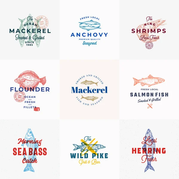 Premium Deniz Ürünleri Vektör İşaretleri veya Logo Şablonları Ayarlandı. Klasik tipografi, ton balığı, uskumru, somon, karides ve ringa balıklı el yapımı klasik balık çizimleri. Retro Restoran ve Deniz Ürünleri Amblemleri. — Stok Vektör