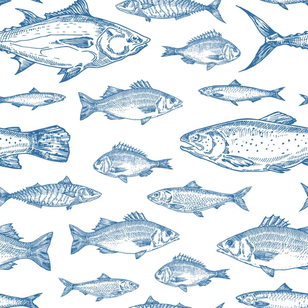 Handritad Ocean Fish Vector sömlös bakgrund mönster. Ansjovis, sill, tonfisk, Dorado, makrill, havsabborre och lax Skisser kort eller täcka mall i blå färg. — Stock vektor