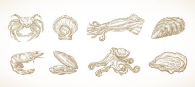 Deniz ürünleri taslak vektör seti. Klasik İşleme Tarzı Deniz Gıda Çizimleri. Yengeç Ahtapot Ahtapot Ahtapot ve Kabuklu Deniz Ürünleri Karidesleri, karbonhidratı izole etti. El Çekimi Deniz Yemekleri Koleksiyonu