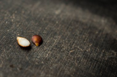 Siyah ahşap bir masanın üzerindeki kahverengi tohumları yakın. 