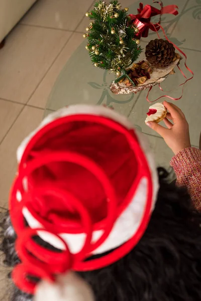 戴眼镜 头戴圣诞毛衣 家里桌上放着圣诞礼物的女孩 — 图库照片