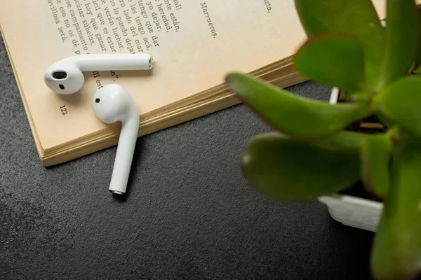 Een Moderne Witte Koptelefoon Een Boek Met Een Plantje Een — Stockfoto