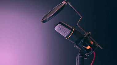 Röportaj Kaydı / Video Konferansı / Podcast / Voice Diction / Phone için Çok Yönlü Mikrofon