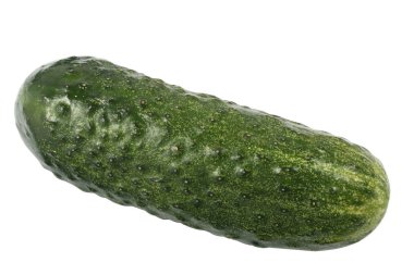 Tek olgun yeşil salatalık beyaz bir arka plan üzerinde izole