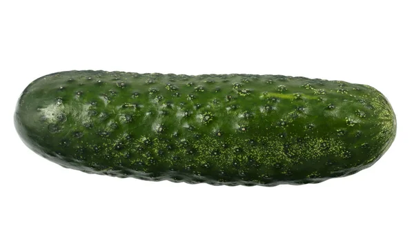 Одинарний Стиглий Зелений Огірок Ізольований Білому Тлі Стокове Фото