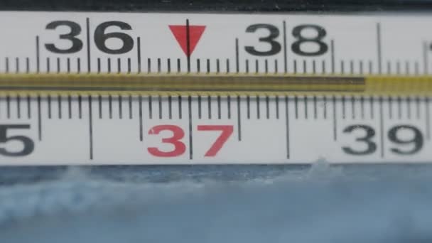 Thermomètre au mercure en rotation rapprochée. température corporelle élevée — Video