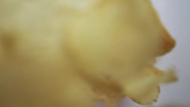 Knusprige Kartoffelchips Golden Chips Hängen Vor Der Linse Der Luft — Stockvideo