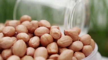 fıstıklar yavaş çekimde döner lezzetli ve protein zengini diyet gıdalar.