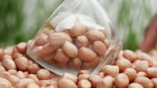 Amendoins Rodar Câmera Lenta Delicioso Saudável Alimentos Ricos Proteínas Dieta — Vídeo de Stock