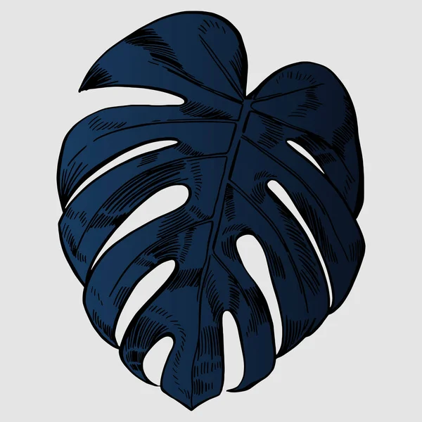 Vektorillustration med tropiska monstera blad exotisk djungel — Stock vektor