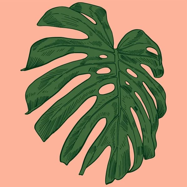 Векторная иллюстрация с тропическим монстром оставляет экзотические джунгли — стоковый вектор