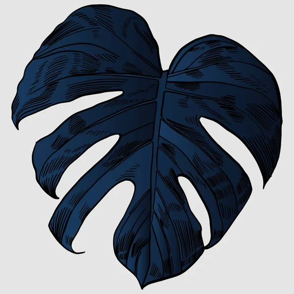 Vektorillustration med tropiska monstera blad exotisk djungel — Stock vektor