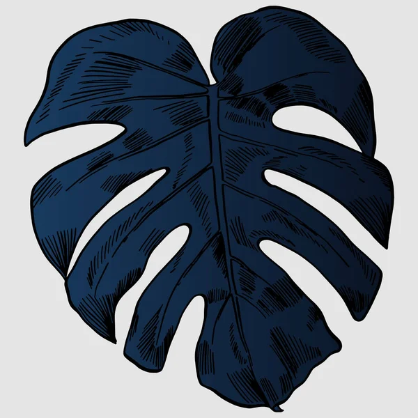 Ilustración vectorial con hojas de monstera tropical selva exótica — Vector de stock