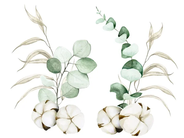 ユーカリの葉と柳と綿花の水彩画セット 葉と綿の束白い背景に隔離されています グラフィックデザイン カードの装飾 結婚式のためのクリップアート要素 — ストック写真