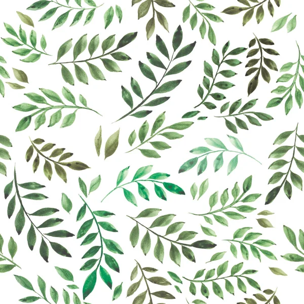 库存说明 热带绿叶无缝图案孤立在白色背景上 老式水彩画 包装纸 纺织品 陶瓷设计 — 图库照片