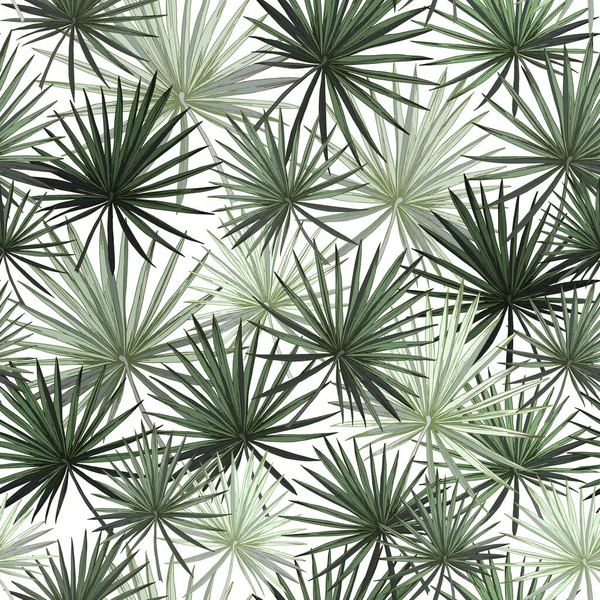 Безшовний Візерунок Зелене Листя Пальмових Дерев Білому Тлі Стокова Ілюстрація — стокове фото
