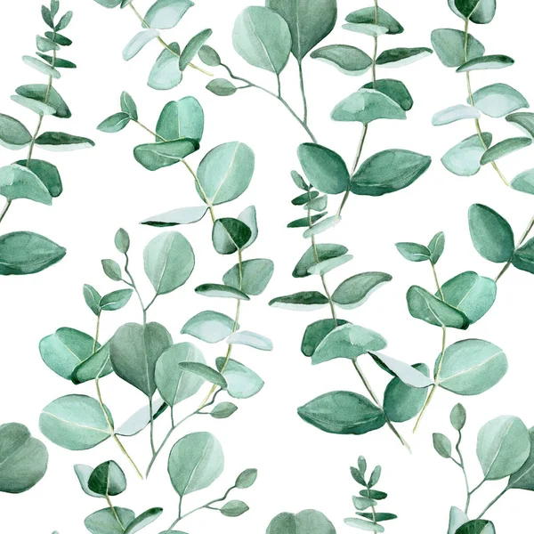 Motif Sans Couture Avec Des Feuilles Eucalyptus Aquarelle Sur Fond — Photo