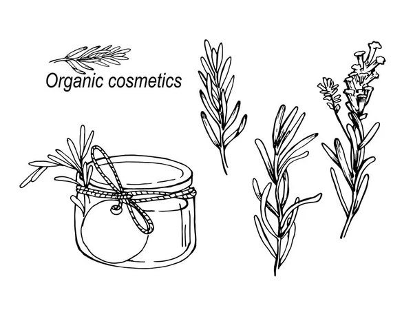 Desenho Vetor Ilustração Estoque Conceito Cosméticos Orgânicos Recipiente Cosméticos Flores — Vetor de Stock