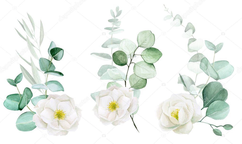 watercolor drawing, a set of bouquets of white rosehip flowers and eucalyptus leaves. clip art design for wedding, flowers and eucalyptus leaves vintage style