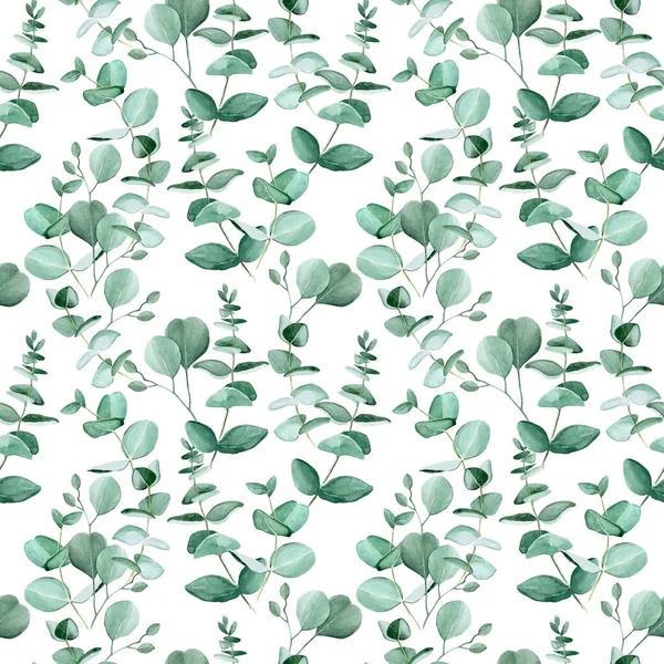 Sömlöst Mönster Med Akvarell Eukalyptus Blad Vit Bakgrund Gröna Blad — Stockfoto