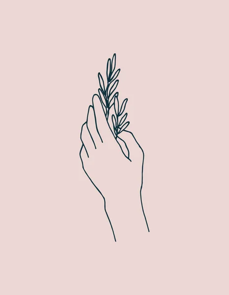 Illustration Vectorielle Dessin Simple Main Féminine Avec Plante Herbes Isolée — Image vectorielle